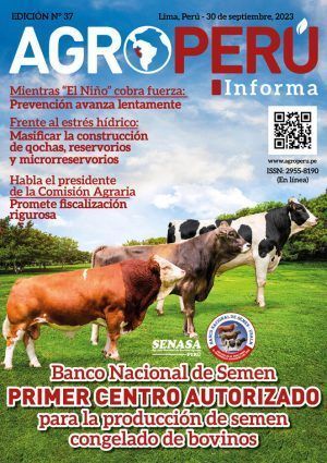 AGROPERU Informe Edición N° 37