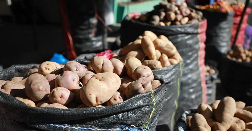 producción de papa Perú