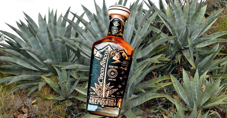 Cultivo e industrialización sostenible del Agave Cordillerensis Five Agave Group SAC