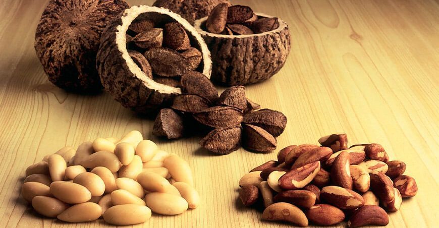 Castaña amazónica: Único alimento natural con elevados niveles de selenio