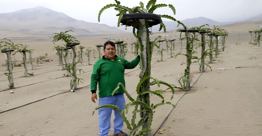 Presidente de laNueva junta directiva de la Comunidad Campesina de Aucallama 2024-2025 Ing. Christofer Roldán Chuquimango