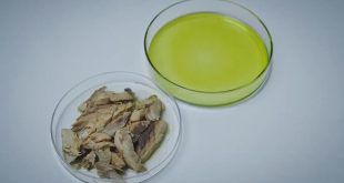 Conservas de pescado con extracto de microalgas para prevenir enfermedades cardiovasculares