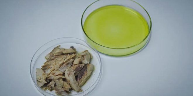 Conservas de pescado con extracto de microalgas para prevenir enfermedades cardiovasculares