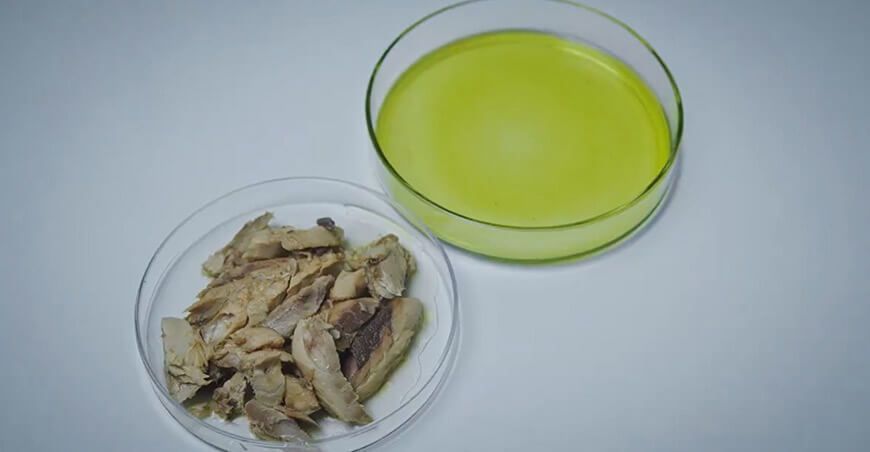 Conservas de pescado con extracto de microalgas para prevenir enfermedades cardiovasculares