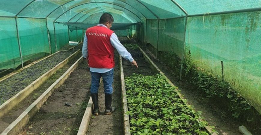 Detectan deficiencias en el proyecto de reforestación de la microcuenca Juninguillo en San Martín Contraloría Perú