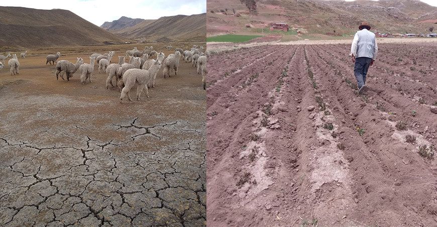 déficit hídrico sequía afecta producción agropecuaria Puno Perú