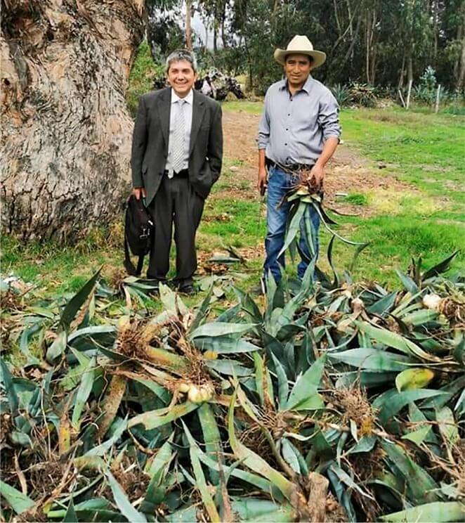 Dr. Guillermo Pino, investigador con amplio conocimiento sobre los agaves, junto al Ing. José Coco Pomachagua Quijada. Sincos Junín Perú