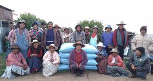Apoyan a más de 30 000 productores frente al déficit hídrico en Puno Perú