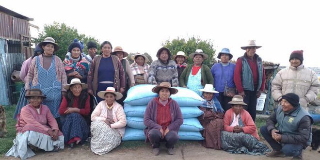 Apoyan a más de 30 000 productores frente al déficit hídrico en Puno Perú
