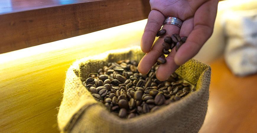exportación café verde