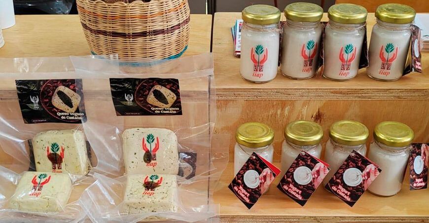 el Instituto de Investigaciones de la Amazonía Peruana (IIAP) ha innovado en la transformación de nueces de castaña amazónica en productos fermentados tipo queso y yogurt