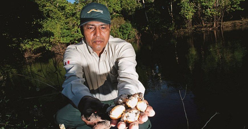 El Congreso aprueba la Ley del Cuerpo de Guardaparques del Perú