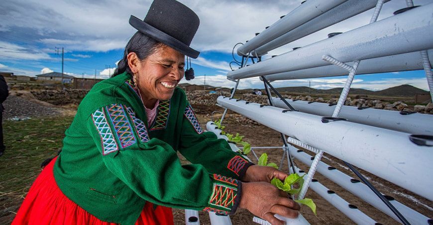 INIA avanza con la instalación de 2859 módulos hidropónicos en 9 regiones