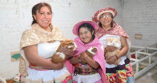 organizaciones agrarias de mujeres producción crianza de cuyes Perú
