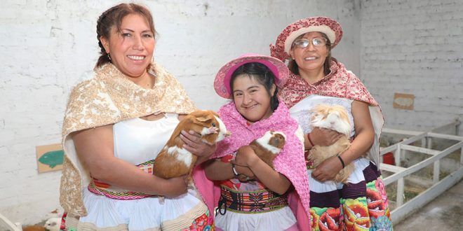 organizaciones agrarias de mujeres producción crianza de cuyes Perú