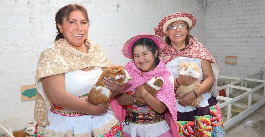 organizaciones agrarias de mujeres producción crianza de cuyes Perú