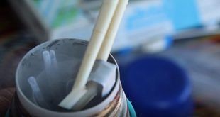 pajillas de semen ganado bovino Promegnacional INIA Perú