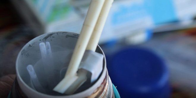 pajillas de semen ganado bovino Promegnacional INIA Perú