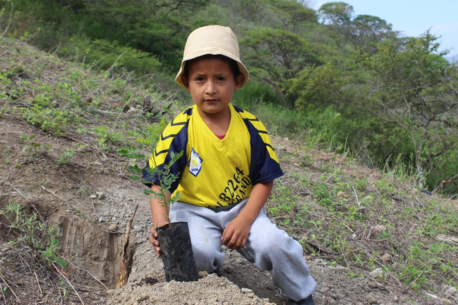 Cajamarca planta 8 millones de árboles en una jornada forestal 