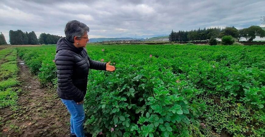 PhD. Carmen Castillo Carrillo, investigadora del Departamento Nacional de Protección Vegetal de la Estación Experimental “Santa Catalina” del Instituto Nacional de Investigaciones Agropecuarias (INIAP) de Ecuador