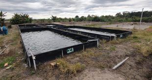 GORE San Martín Proyecto acuícola
