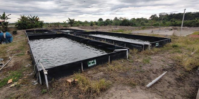GORE San Martín Proyecto acuícola