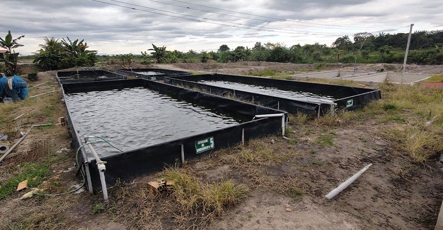 GORE San Martín Proyecto acuícola