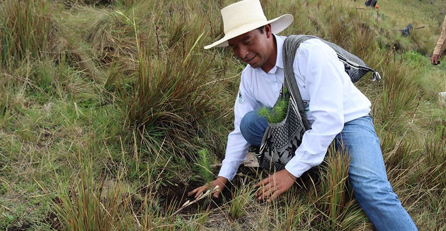 Reforestan 30 hectáreas del cerro El Vaquero en Cajamarca