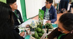 Rueda de Negocios de Palta Sierra y Selva Exportadora