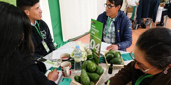 Rueda de Negocios de Palta Sierra y Selva Exportadora