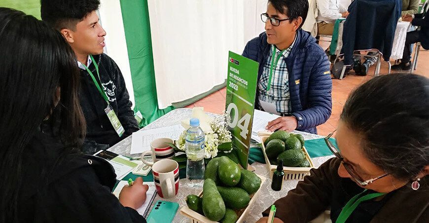 Rueda de Negocios de Palta Sierra y Selva Exportadora