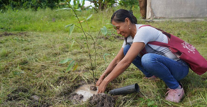 Serfor instalación plantones forestales Junín Pasco