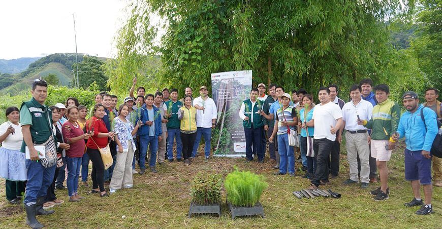 Proyectos de inversión forestal Serfor Perú