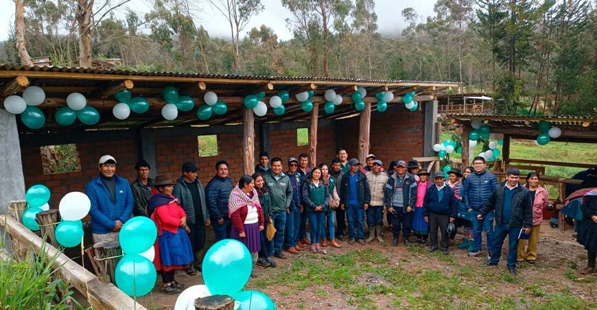 Iniciativa para potenciar el engorde de vacunos en Ranracancha en Apurímac Perú