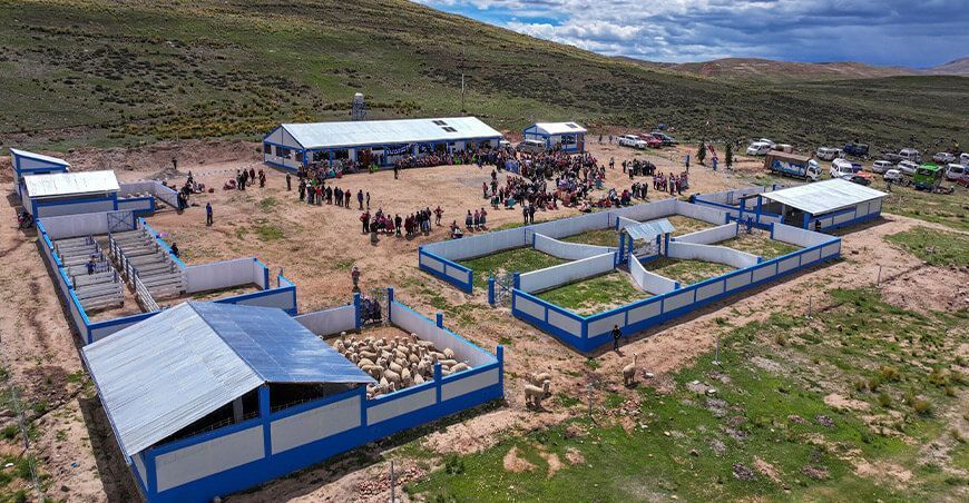 Inauguran Centro de Producción de Reproductores de alpacas en Inchupalla en Puno Perú
