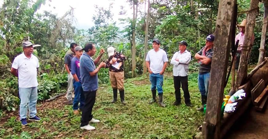 escuela de campo para productores de café Perú