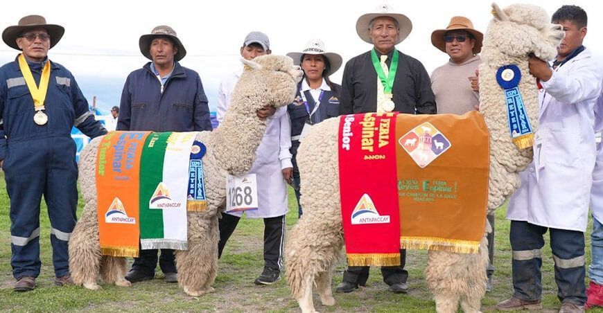 Expo Feria Reyes Espinar 2024 reunió a casi 600 productores ganaderos del sur del país