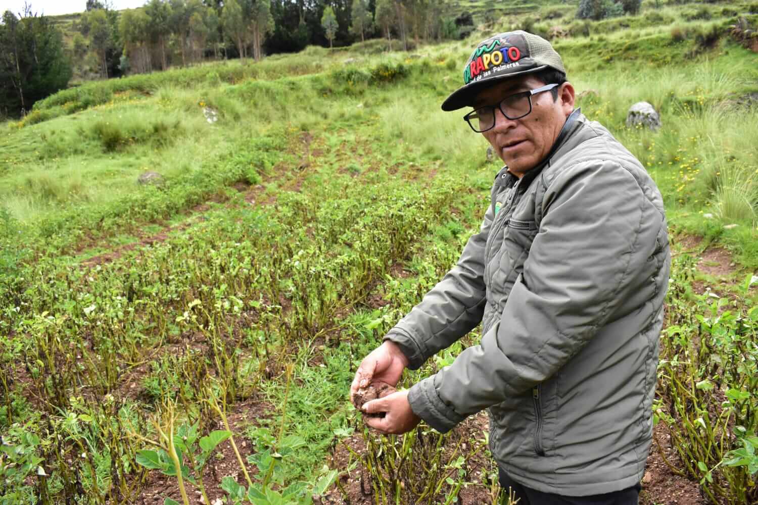 Intensas lluvias provocan estragos en la agricultura de Lauricocha, Huánuco