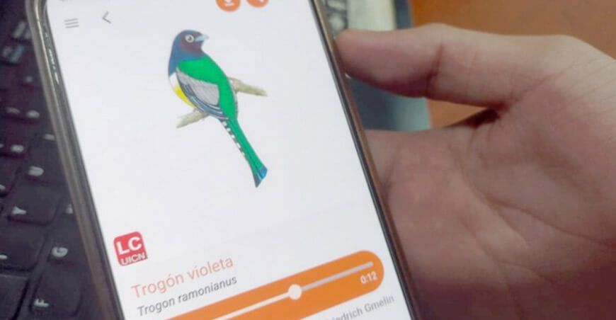 IIAP lanza nuevo aplicativo móvil Amazonía: Guía Ilustrada