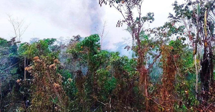Incendios forestales y cambio climático: Amenazas a los territorios indígenas en la cuenca del río Ene