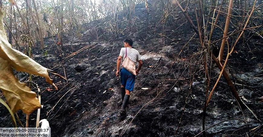 Incendios forestales y cambio climático: Amenazas a los territorios indígenas en la cuenca del río Ene