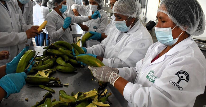 productores transformación plátanos en la Amazonía Perú