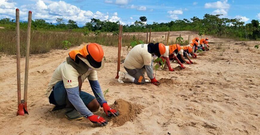 Minam recupera áreas degradadas y refuerza medidas nacionales ante el cambio climático