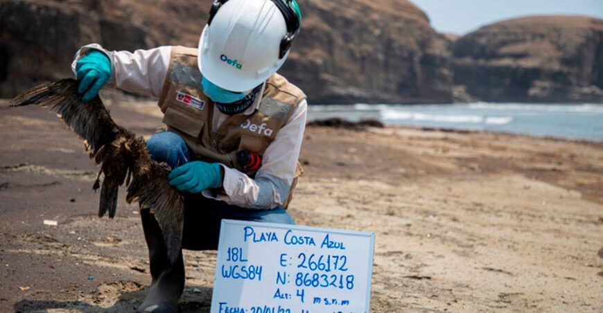 OEFA impone multas a Repsol por omisión de planes de rehabilitación tras derrame en Ventanilla