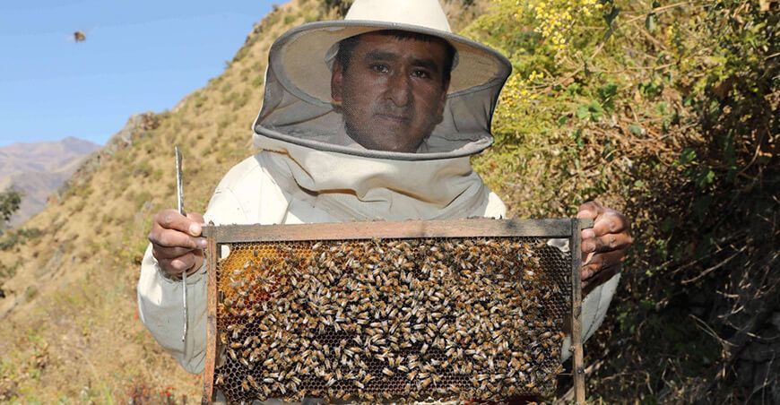 Historia de Félix Chiquiyuri Contreras, emprendedor exitoso de Huarochirí en la producción de miel de abeja