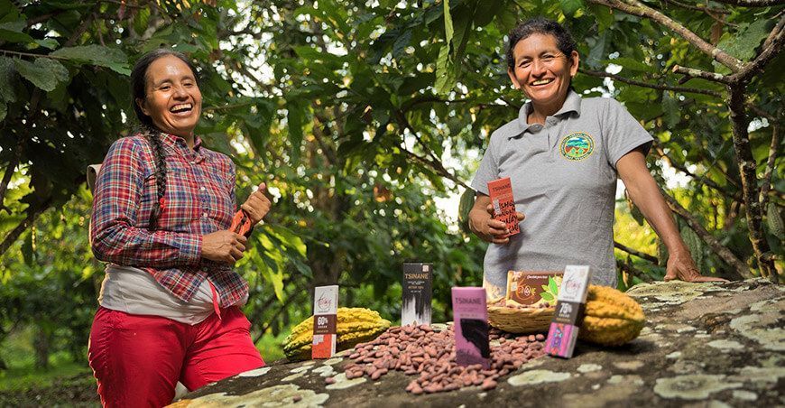 familias cacaoteras aumentaron su productividad Devida Perú