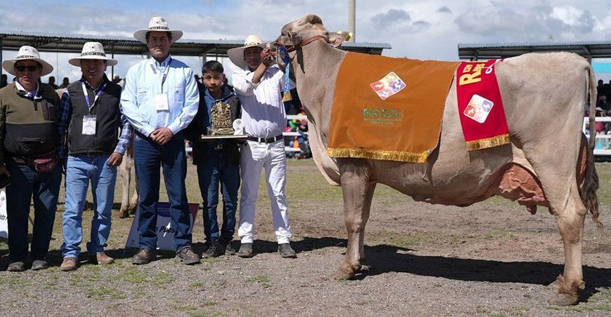 Expo Feria Reyes Espinar 2024 reunió a casi 600 productores ganaderos del sur del país