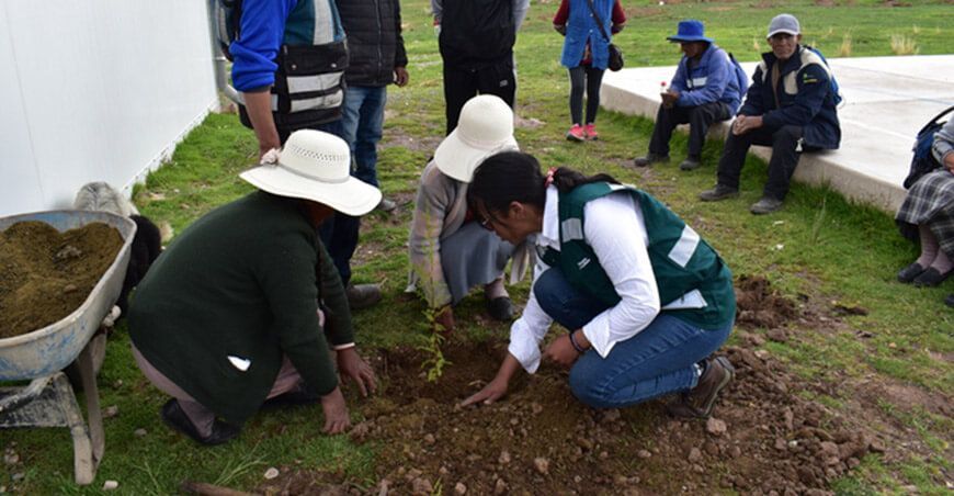 Inicia la instalación de 5500 plantones forestales en Putina en Puno Serfor Perú