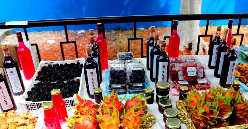 Simposio Internacional de Pitahayas y Berries