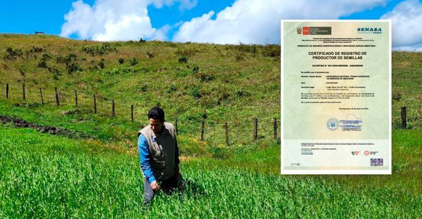 UNTRM se consolida como productor oficial de semillas en el país